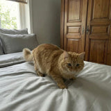 Bewertung twentythree